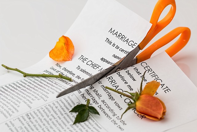 divorce, separation, marriage breakup, split, argument, relationship, conflict, breach of contract, quarrel, problem, upset, unhappy, sad, failure, broken trust, heartbroken, alimony, marriage guidance, counselling, maintenance, divorce lawyer, divorce, divorce, divorce, divorce, divorce